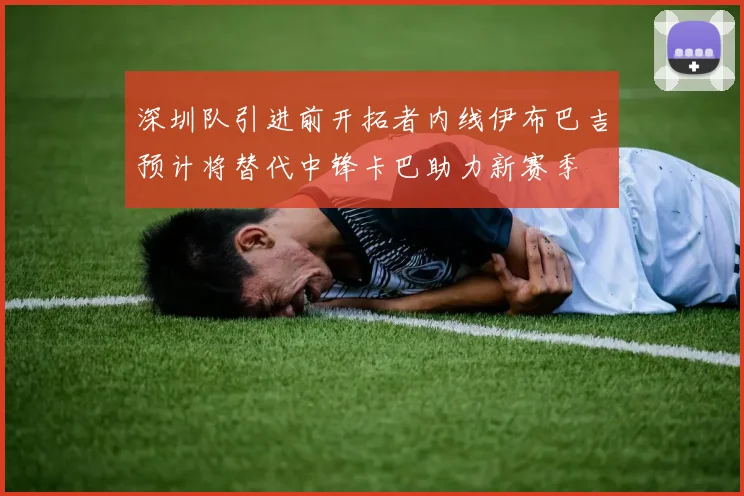 深圳队引进前开拓者内线伊布巴吉预计将替代中锋卡巴助力新赛季
