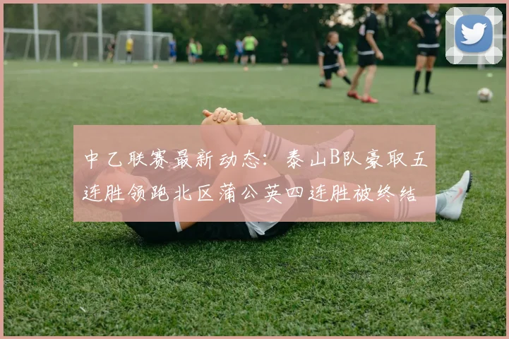 中乙联赛最新动态：泰山B队豪取五连胜领跑北区蒲公英四连胜被终结